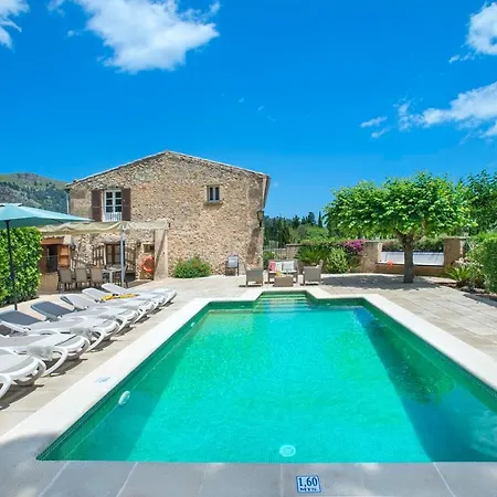 Camp Davall Pollenca